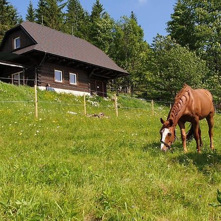 Вилла Panorama Ranc Jezici Экстерьер фото