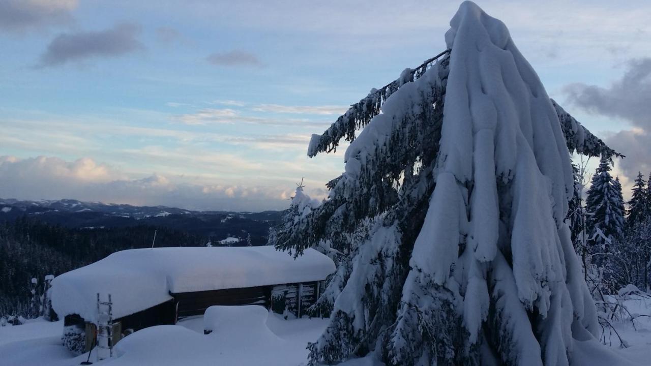 Вилла Panorama Ranc Jezici Экстерьер фото